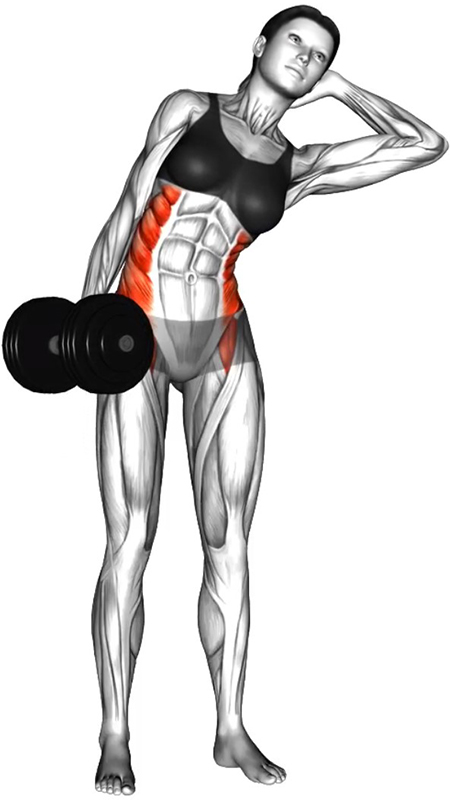 Inclinaison du buste avec haltère : un exercice ciblé pour les obliques - Fin