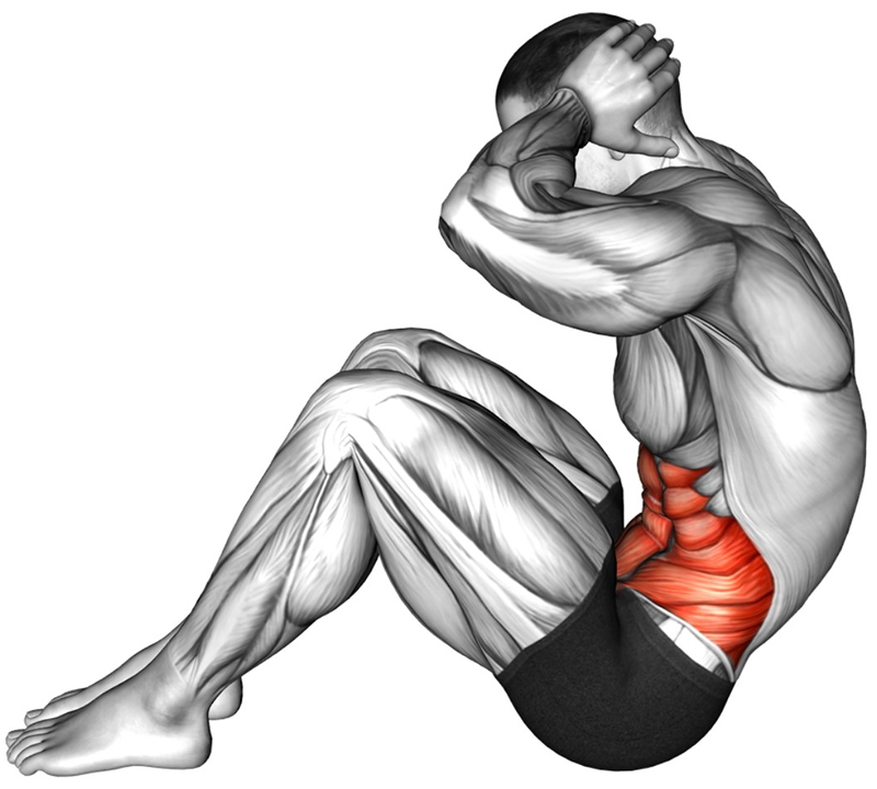 Relevé de buste au sol : travail des muscles abdominaux - Fin