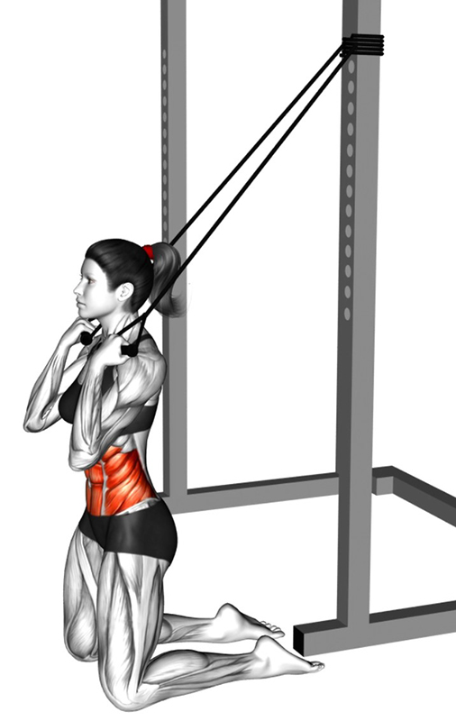 Flexion du buste à genoux avec élastique de gym : travail des muscles abdominaux - Début