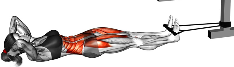 Relevé de buste avec rotation du buste à l’élastique : travail des muscles abdominaux - Début