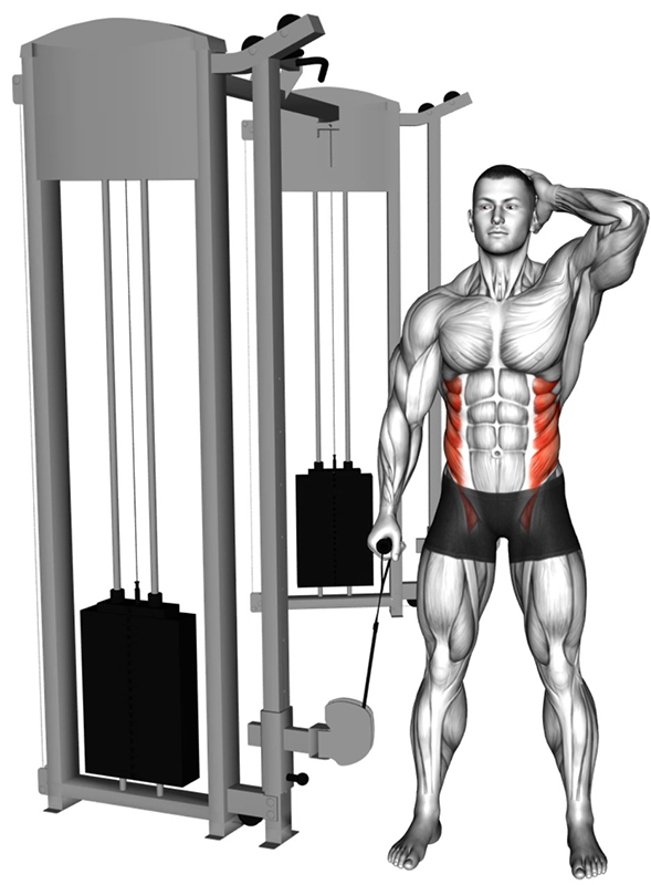 Inclinaison du buste avec la poulie basse : travail des muscles obliques - Début