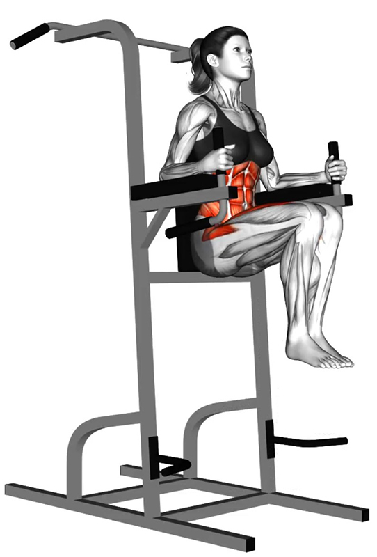Relevés de jambes sur la Dips Machine : un exercice essentiel pour le renforcement des muscles abdominaux - Fin