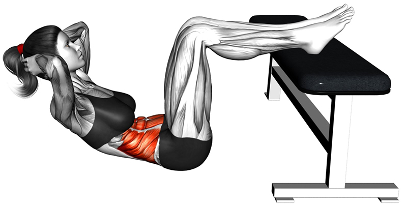 Relevés de buste sur banc plat – Travail des abdominaux - Fin