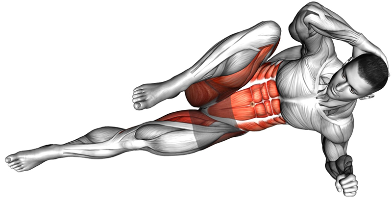 Crunch latéral coude-genou – Travail des abdominaux et des muscles obliques - Fin