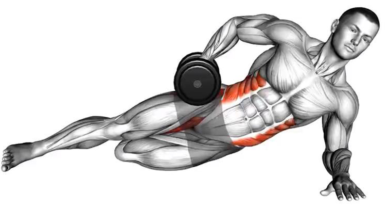 Gainage latéral avec haltère – Renforcement des obliques - Début