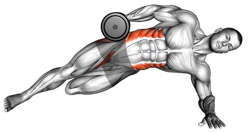 Gainage latéral avec haltère – Renforcement des obliques - Fin