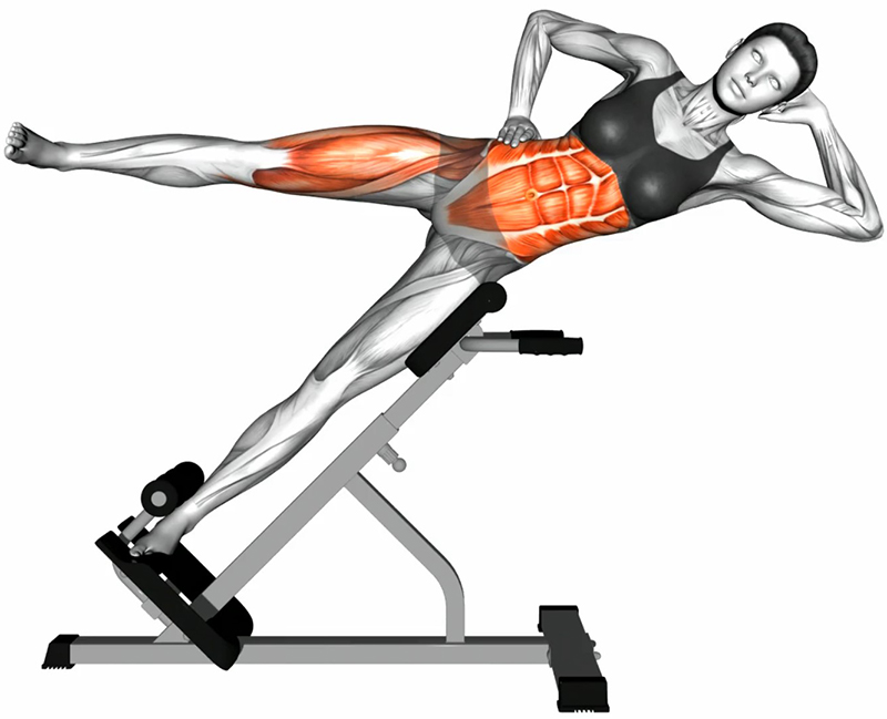 Flexion unilatérale du buste sur banc à lombaires 45 degrés (Bicycle Crunches Twists) – Travail des obliques - Début