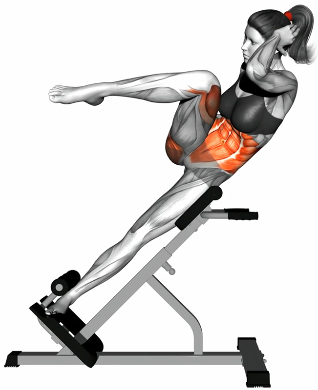Flexion unilatérale du buste sur banc à lombaires 45 degrés (Bicycle Crunches Twists) – Travail des obliques - Fin