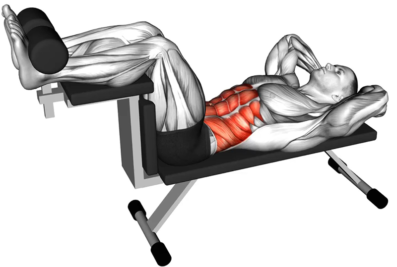 Relevés de buste sur banc spécial abdominaux – Travail des abdos - Début