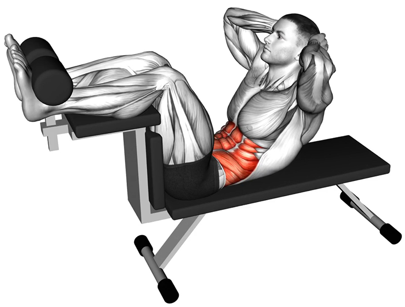 Relevés de buste sur banc spécial abdominaux – Travail des abdos - Fin