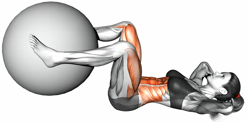 Relevés de buste sur jambes tendues avec ballon de gym - Début