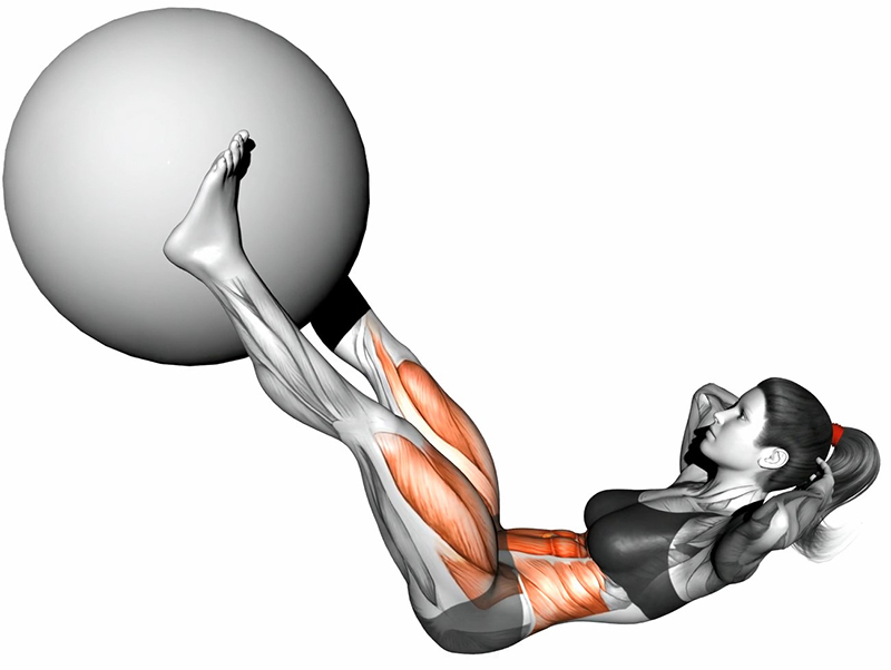 Relevés de buste sur jambes tendues avec ballon de gym - Fin