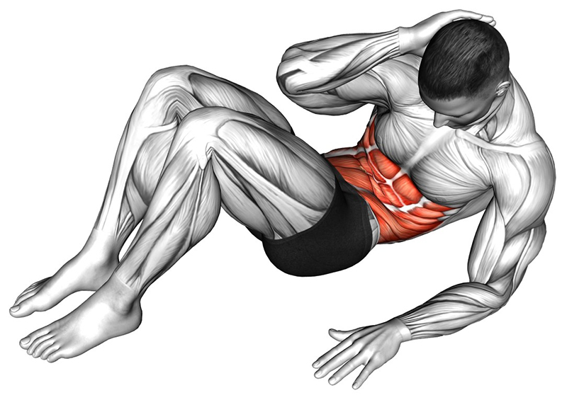 Crunch avec travail des muscles obliques - Fin