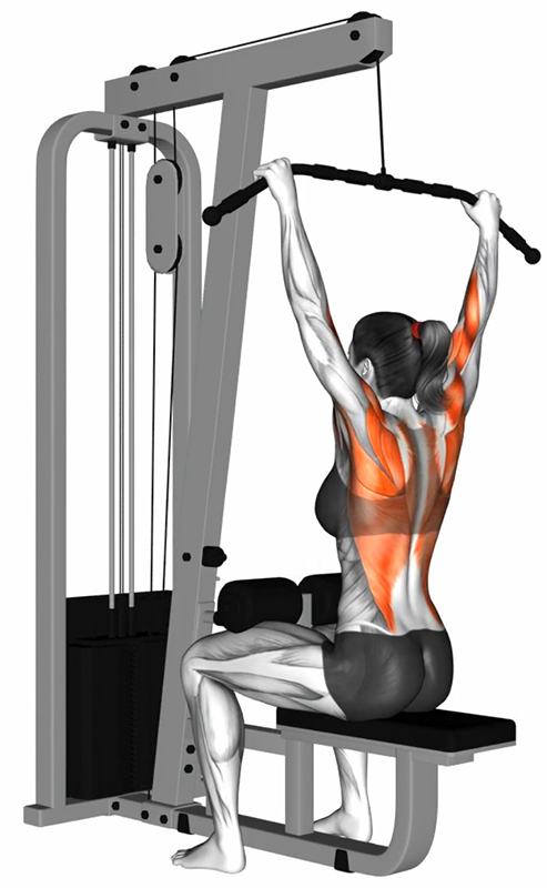 Tirage vertical avant à la lat machine : renforcement des muscles dorsaux - Début