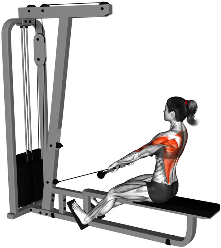 Tirage horizontal à la Row Machine avec poignée droite pour le travail des dorsaux - Début