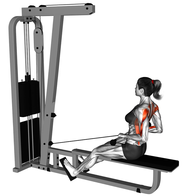 Tirage horizontal à la Row Machine avec poignée droite pour le travail des dorsaux - Fin