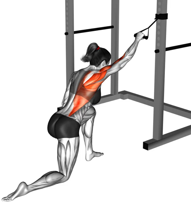 Rowing haut alterné avec un élastique et une poignée : un exercice efficace pour le renforcement des muscles dorsaux - Début