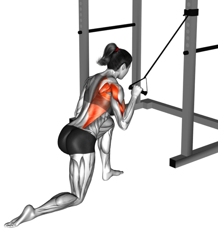 Rowing haut alterné avec un élastique et une poignée : un exercice efficace pour le renforcement des muscles dorsaux - Fin