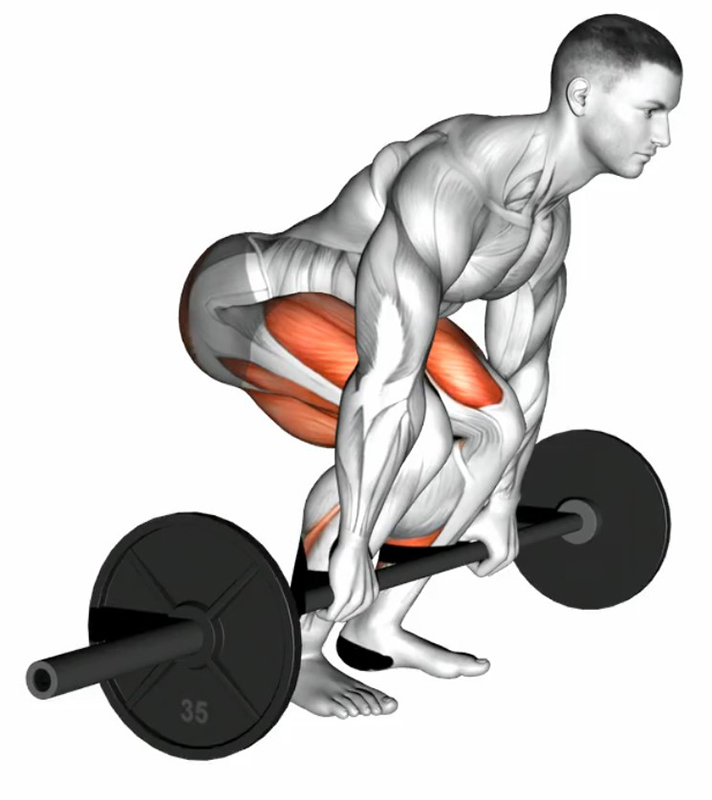 Soulevé de terre avec barre olympique : travail des muscles dorsaux - Fin