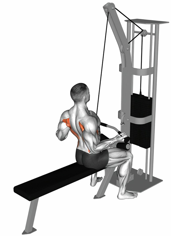 Tirage vertical avant à la lat machine en supination : un exercice clé pour le dos et les biceps - Fin