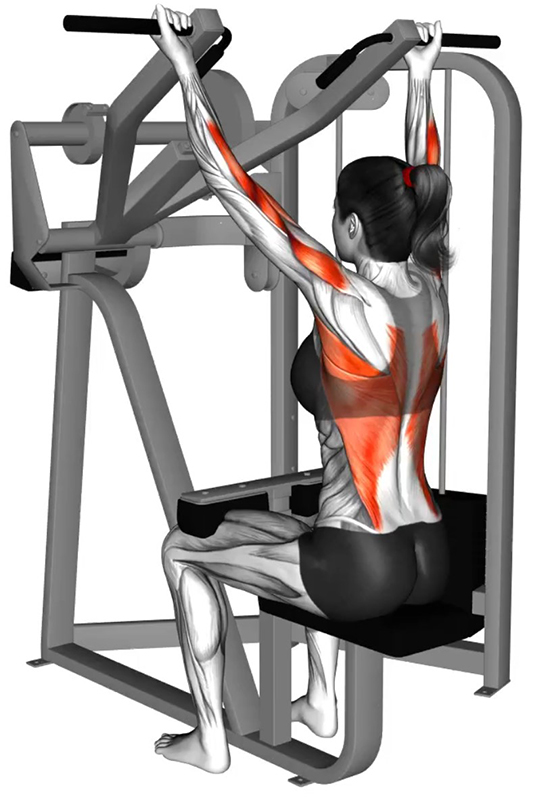 Tirage avant main en supination sur Lat machine convergente – Travail des dorsaux - Début