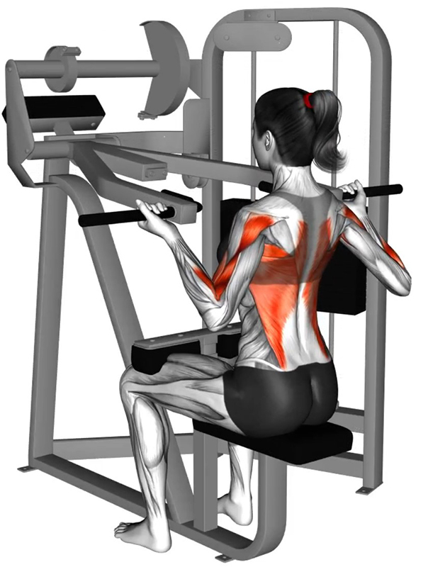 Tirage avant main en supination sur Lat machine convergente – Travail des dorsaux - Fin