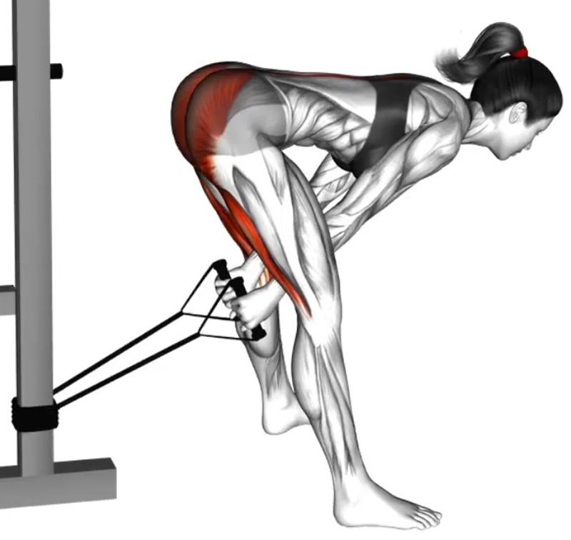 Extension des lombaires en position debout avec élastique – Travail des muscles lombaires - Début