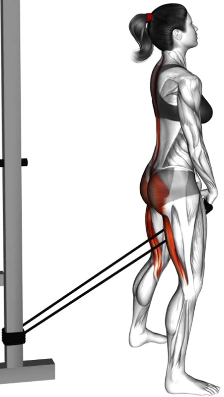 Extension des lombaires en position debout avec élastique – Travail des muscles lombaires - Fin