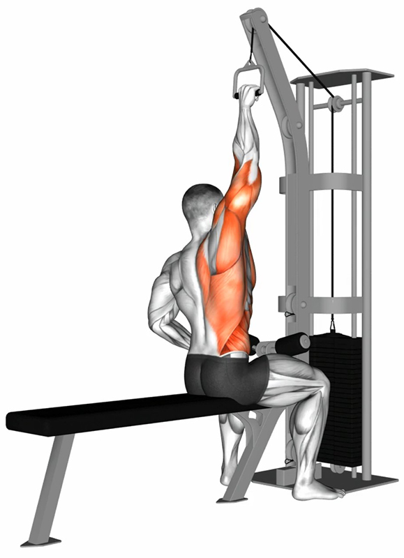 Tirage vertical unilatéral à la lat machine avec poignée simple – Travail du dos - Début