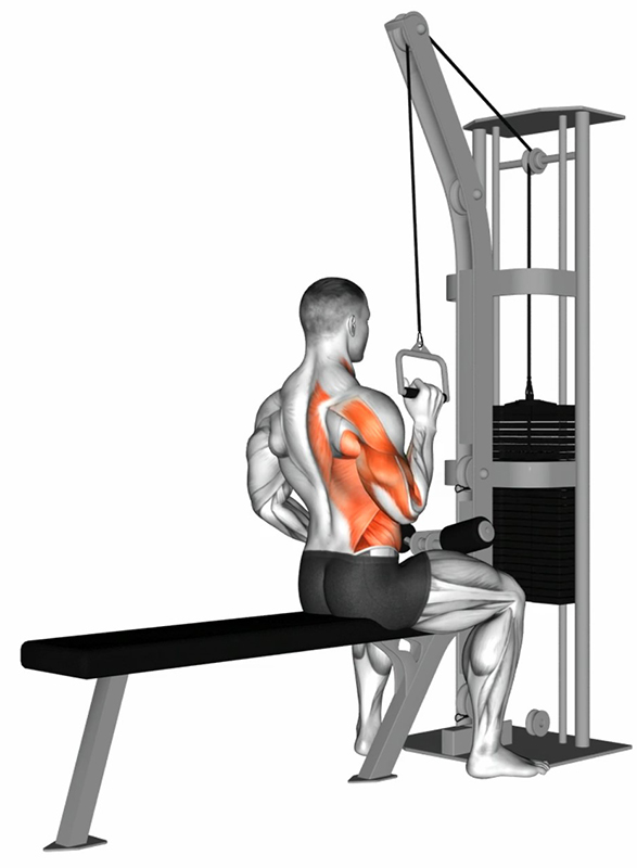 Tirage vertical unilatéral à la lat machine avec poignée simple – Travail du dos - Fin
