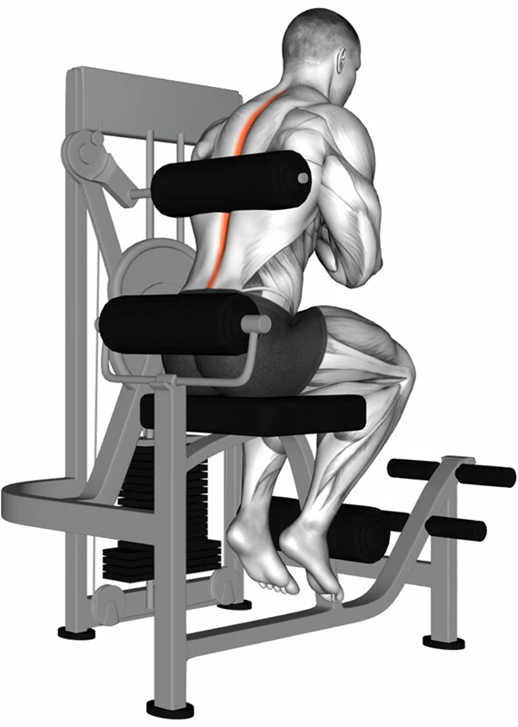 Extension du dos sur back lower machine : renforcement ciblé des muscles lombaires - Début