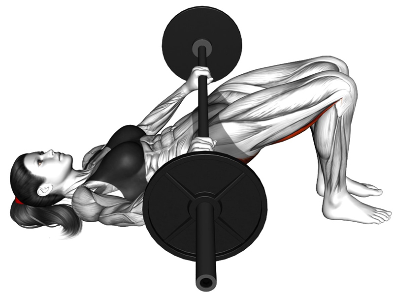Hip Thrust avec grande barre - Fin