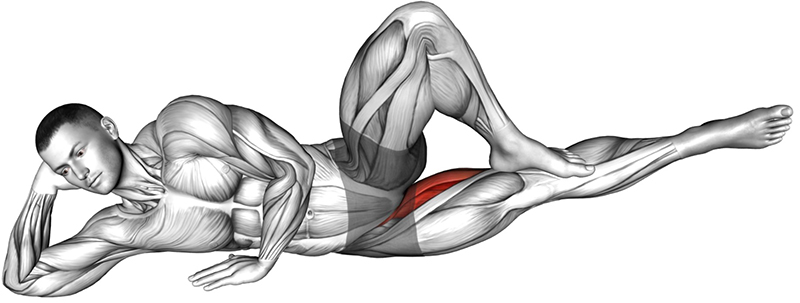 Adduction de la cuisse au sol : travail des muscles adducteurs - Fin
