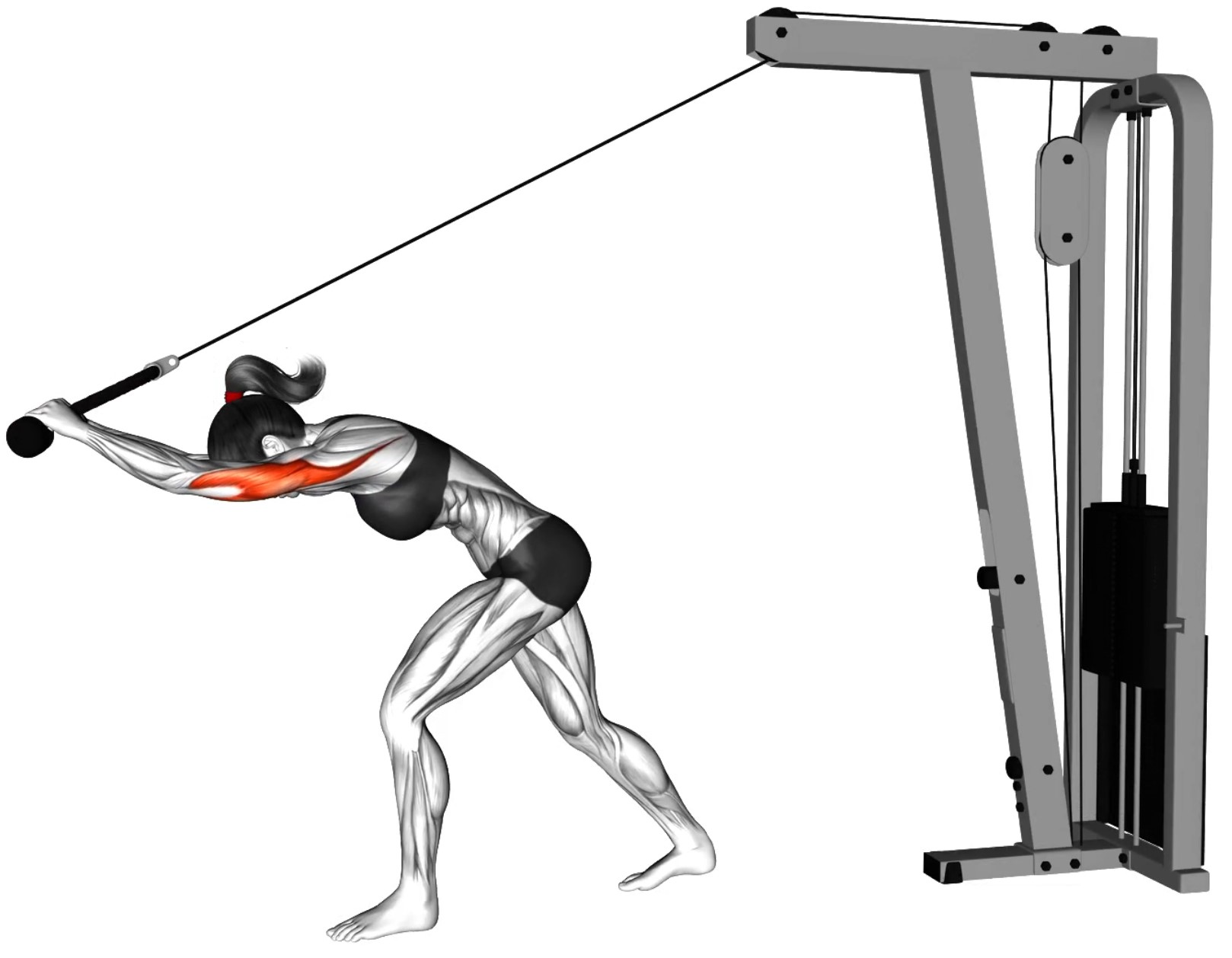 Extension des bras arrière à la poulie haute : travail ciblé des triceps - Fin