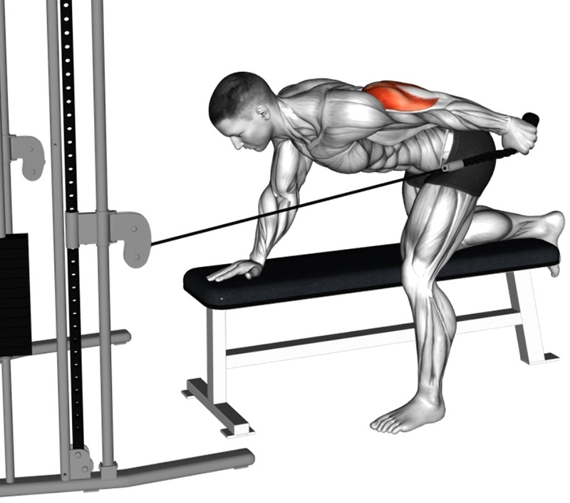 Extension du bras sur buste penché à la poulie basse avec corde simple – Travail des triceps - Fin