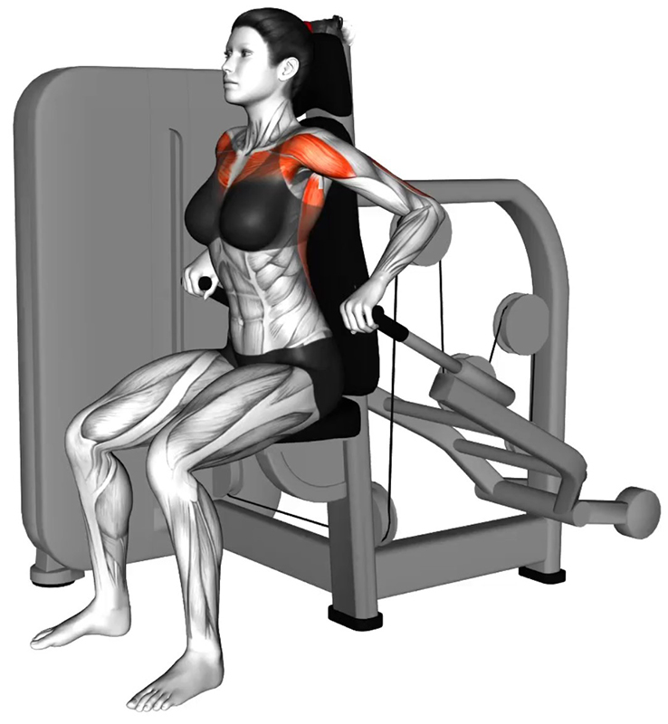 Poussée verticale des bras à la machine spécifique triceps : un renforcement ciblé des triceps - Début