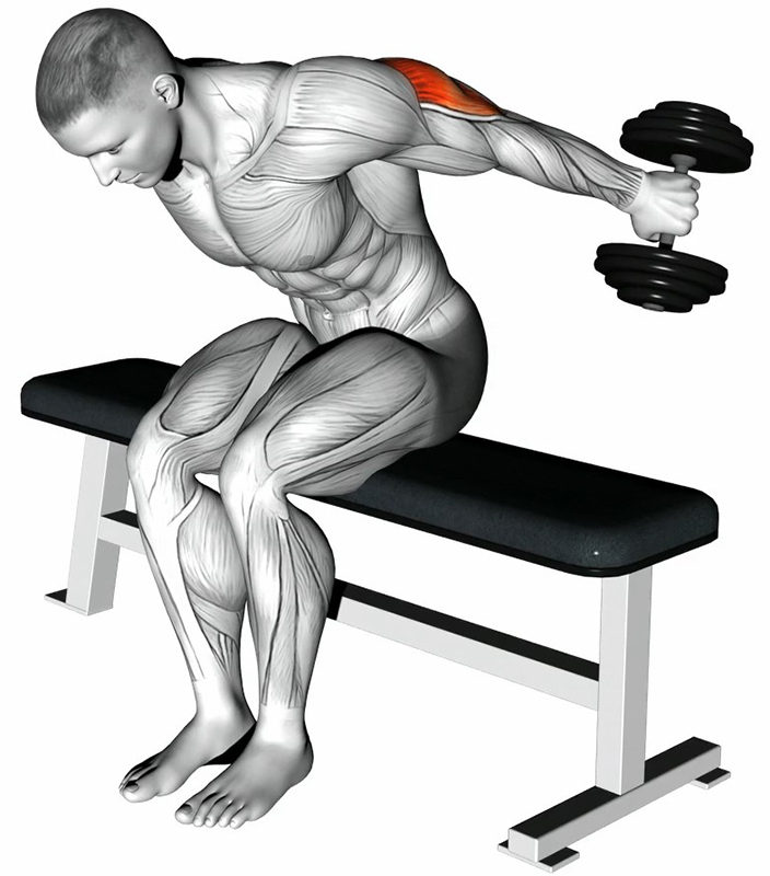 Extension arrière des bras avec haltères – Travail des triceps - Fin